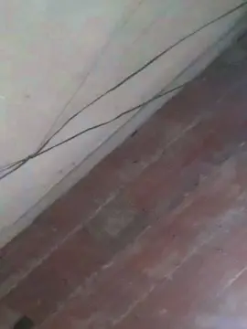 Cam4 Private Sex Chat of bastantefach1