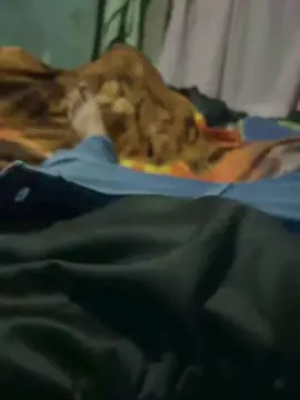 Cam4 Nude Webcam of Yisacodi