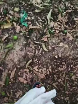 Cam4 Live Sex of Exoticboy24