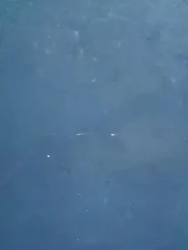 Cam4 Private Sex Chat of Farequelme