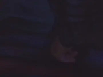 Cam4 Free Live Porn of gaston372