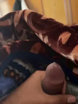 Cam4 Adult Webcams of porcobg18