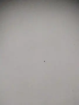 Cam4 Live Porn of Heterodominador