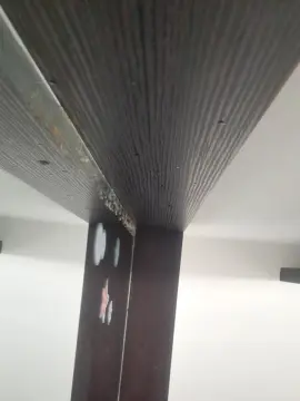 Cam4 Live Sex Cam of TradicionCANERA