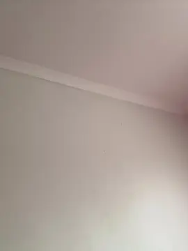 Cam4 Free Porn Cam of Loresofia