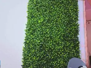 Cam4 Nude Webcam of Jessi_Walker_