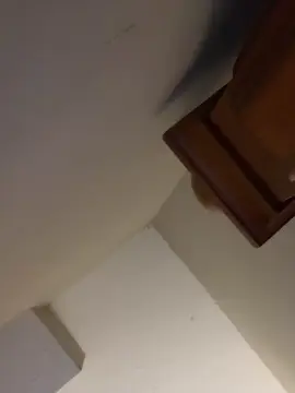 Cam4 Free Porn Cam of bbyjewel