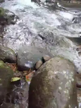 Cam4 Adult Video Chat of Clark_Jhonz