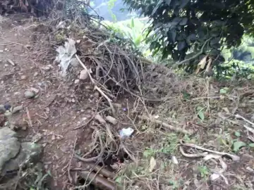 Cam4 Free Live Porn of Clark_Jhonz