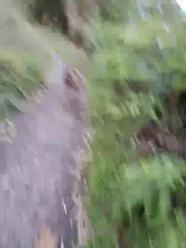 Cam4 Adult Video Chat of Clark_Jhonz