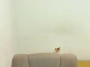 Cam4 Watch Live Sex Cams of Eskolhandsome