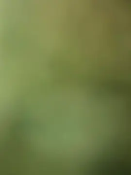 Cam4 Adult Video Chat of junioviana1