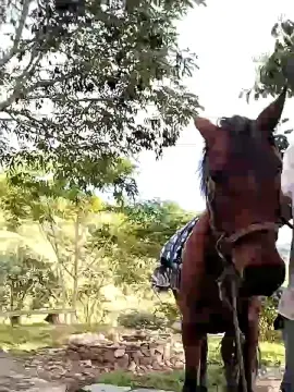 Cam4 Best live sex cam show of Remote_live