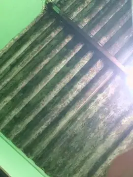 Cam4 Adult Webcam of guilher67