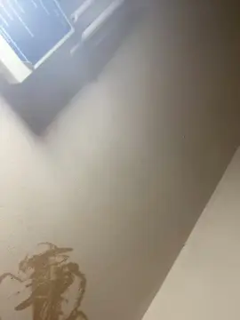 Cam4 Best Webcam of Bahia196