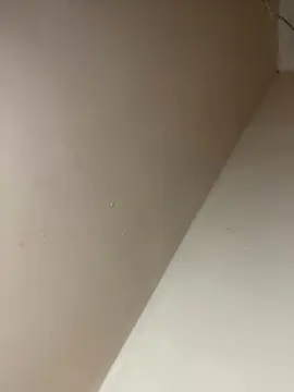 Cam4 Sex Cam of Bahia196