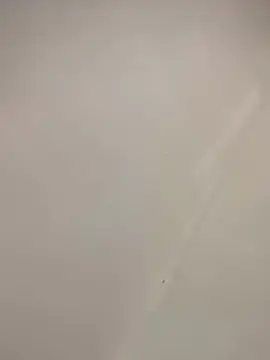 Cam4 Adult Video Chat of Bahia196