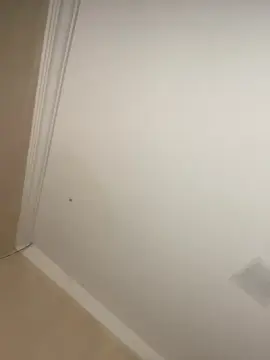 Cam4 Adult Webcams of Bahia196