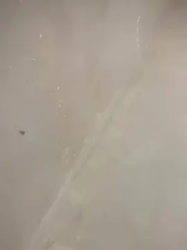 Cam4 Adult Video Chat of Bahia196