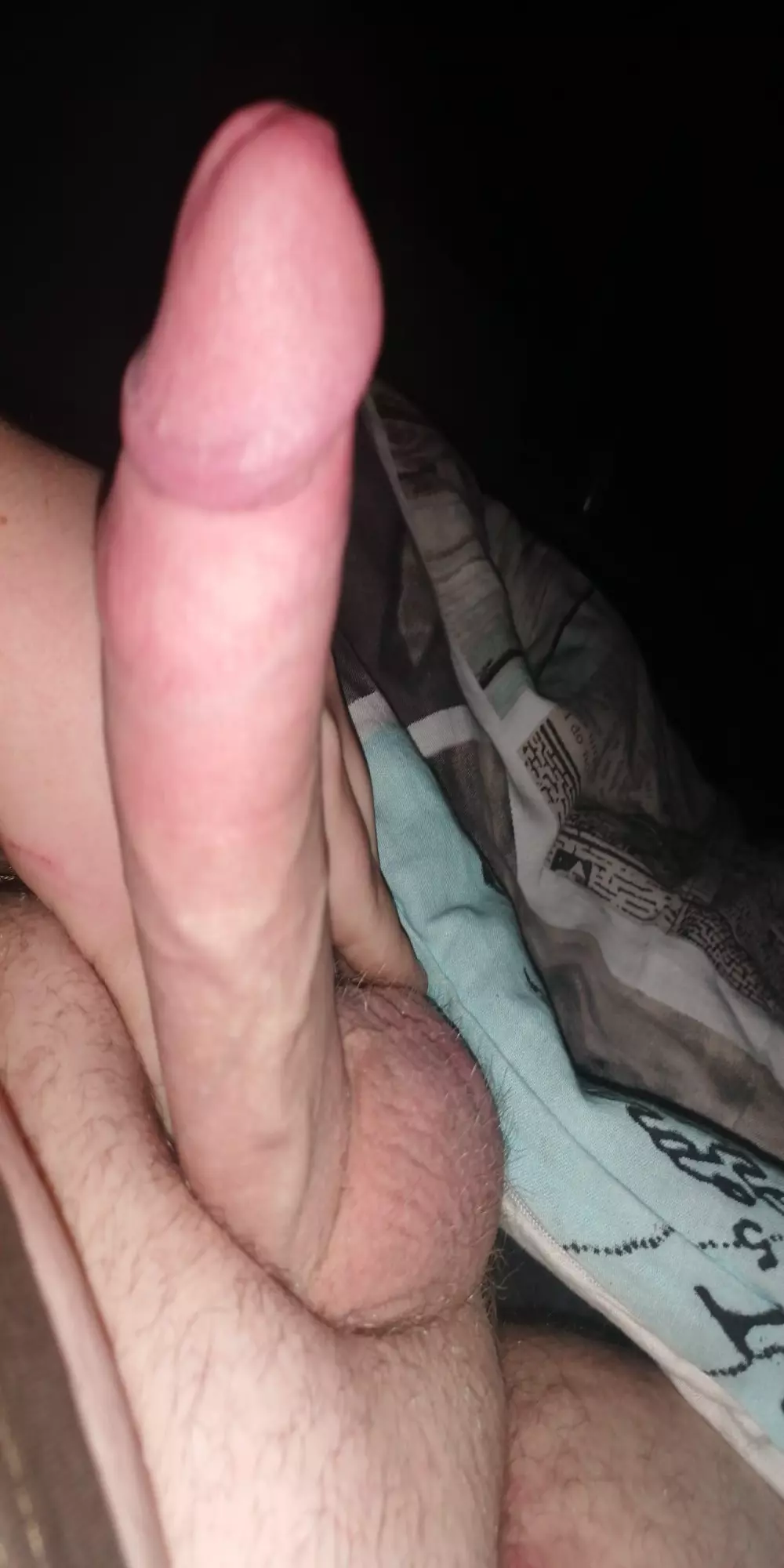 Santino_Wolf_HD