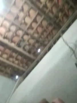 Cam4 Live Sex Cam of capetinha1821