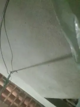 Cam4 Sex Chat of capetinha1821