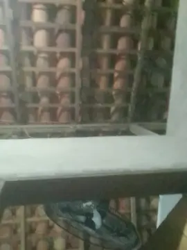 Cam4 Adult Webcam of capetinha1821