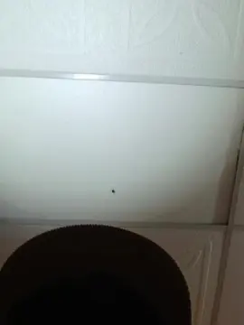 Cam4 Adult Video Chat of angelxxx50734