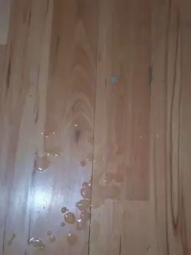 Cam4 Adult Webcams of RicardoLatino99