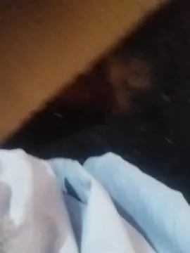 Cam4 Private Sex Chat of tiago23hot