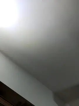 Cam4 Adult Video Chat of chulodelghetto1