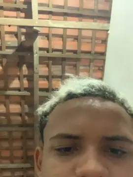 Cam4 Best live sex cam show of novindot20cm_