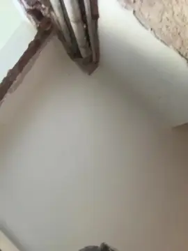 Cam4 Watch Live Sex Cams of Floppy699