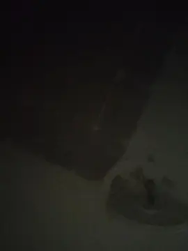 Cam4 Free Live Porn of EXXXTRELLV