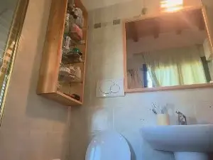 Cam4 Adult Webcams of Alexbisex3040