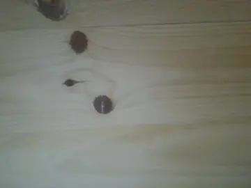 Cam4 Live Sex of pepp9999