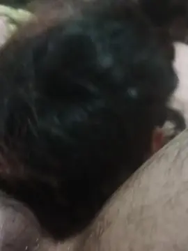 Cam4 Sex Cam of Luzyoliver
