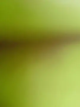 Cam4 Watch Live Sex Cams of PAUZUDONORDESTI