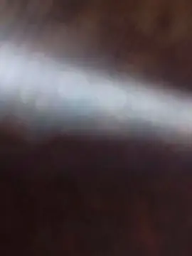 Cam4 Adult Webcams of PAUZUDONORDESTI