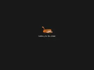 Cam4 Free Live Porn of profilesx