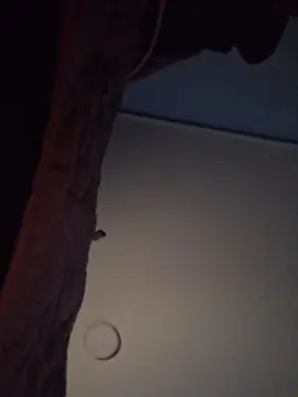 Cam4 Free Live Porn of SayeeenG