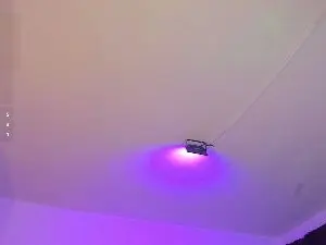 Cam4 Best Webcam of Amy_Kiitty