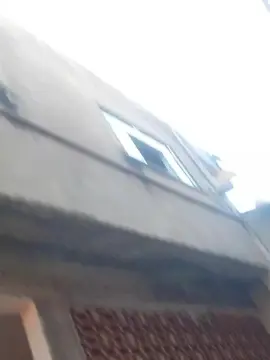 Cam4 Live Sex Cam of Negowl