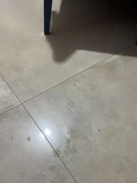 Cam4 Adult Video Chat of Ursinhao