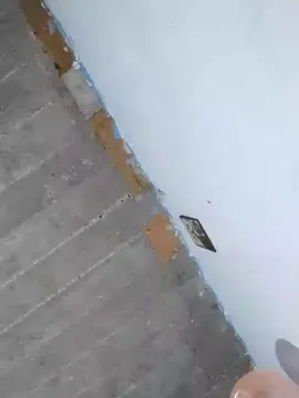 Cam4 Adult Webcam of Neto123211