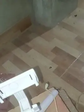 Cam4 Free Porn Cam of Pngrande20cm