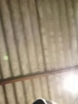 Cam4 Live Sex Cam of 18cm641