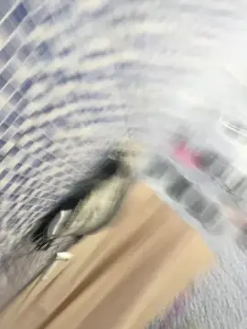 Cam4 Sex Cam of willyams4