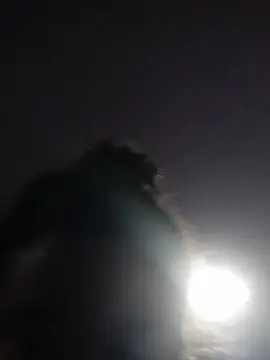 Cam4 Sex Chat of NinfetaCamila