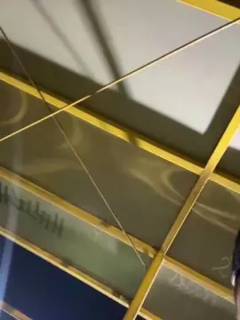 Cam4 Free Live Porn of Outdoorsd